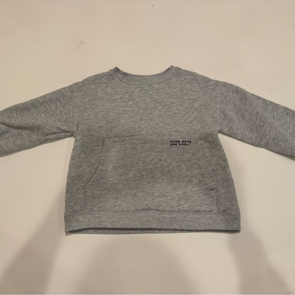 Zara Kids Light Gray Sweatshirt 3-4 years